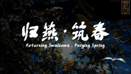 图三 项目成员:江怡畅、彭奕、戴佳宁、季婕。指导老师:管凌云、王剑晖 图三 项目成员:江怡畅、彭奕、戴佳宁、季婕。指导老师:管凌云、王剑晖